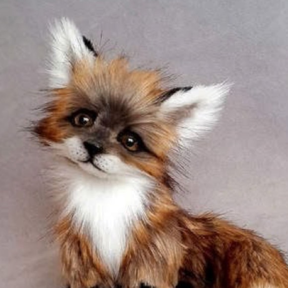 Meet your Posher - Picture 2 of 2